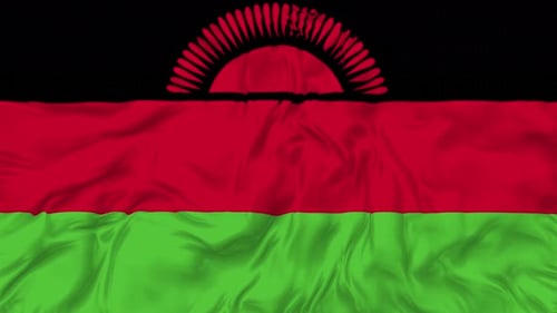 Animated Waving Malawi National Flag