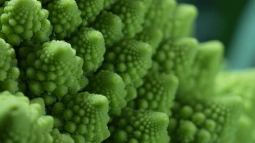 Vue macro de la tête de brocoli Romanesco avec vue macro du chou vert, séquence de Fibonacci en gros plan