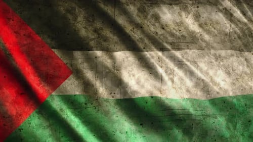 Distressed Palestinian Flag Waving Video Background