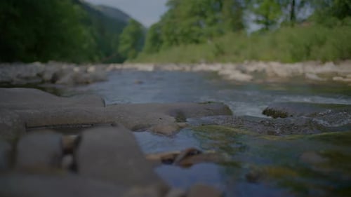 Riverbed Stones Rocks Soil Nature Landscape Scenery