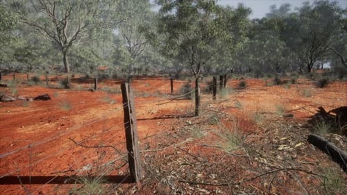 Old Rusted Small Farm Fence