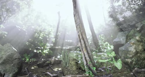 Am frühen Morgen dringt Sonnenlicht durch Bäume in einer ruhigen Waldumgebung