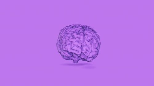 Brain Violett