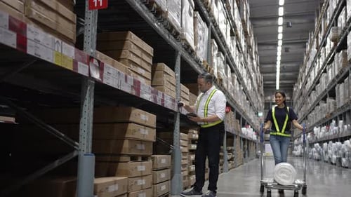 Logistics employees are working warehouse.