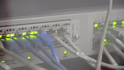 Cables Plugged into Server with Blinking Green Lights