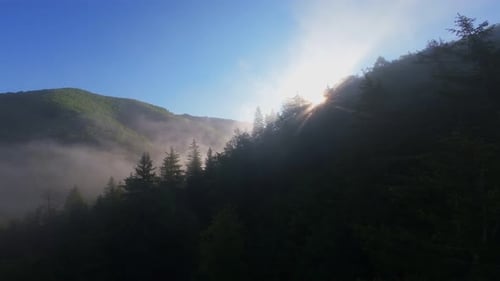 Aerial View of a Lush Green Valley at Sunrise with Misty Hills Forest Trees and Soft Morning Light A