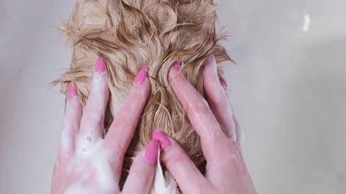 Girl bathes a small Pembroke Welsh Corgi puppy in the shower. Close-up of a girl's hands rubbing sha