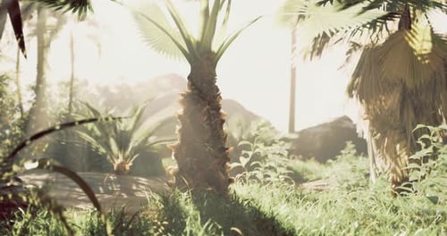 Sunny Tropical Jungle Palm Tree Landscape with Lens Flare