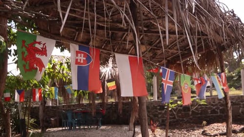 International Flags in a Tropical Outdoor Setting