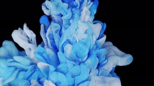 White and Blue Abstract Ink Mixed in Water