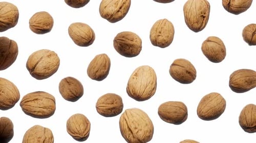 Seamless Loop of Floating Rotating Walnuts