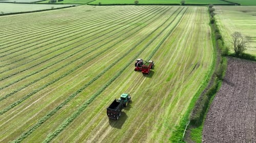 Vue aérienne d'une fourragère tractée ramassant de l'herbe pour l'ensilage