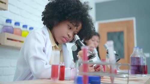 Little boy and girl in science classroom It is the basis for the process of systematic thinking