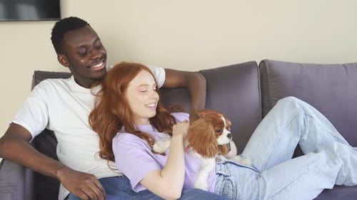 Happy Couple on Couch with Sweet Pet Dog