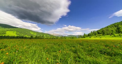 Mountain Meadow Timelapse at the Summer or Autumn Time Wild Nature and Rural Field Clouds Movement