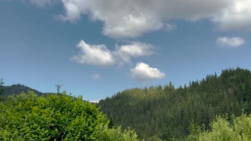 cinematic video from car of coniferous forest, mountain view, meadow and field,