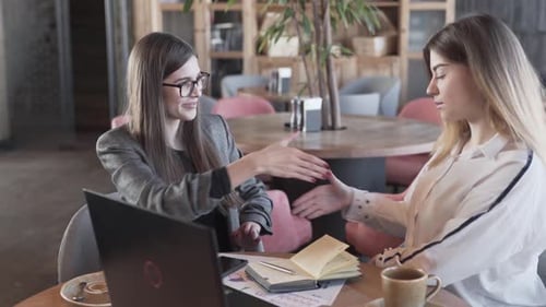 Two charming ladies decide to make together a business project. They give each other a firm handshak