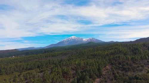 Breathtaking Aerial View of Snow-Capped El Teide and Verdant Canary Pines