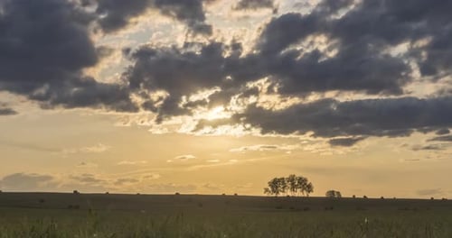 Flat Hill Meadow Timelapse at the Summer Sunset Time Wild Nature and Rural Field Sun Rays Trees