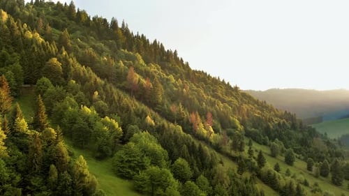 Aerial drone view of nature in the Carpathians in Romania at sunset. Hills covered with lush forest
