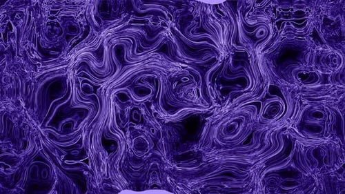 Abstract Purple Flowing Wavy Lines Animated Background