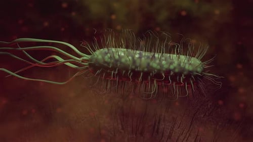 Animated 3D Bacterium Moving Through a Microscopic Environment