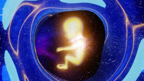 Reincarnation or rebirth