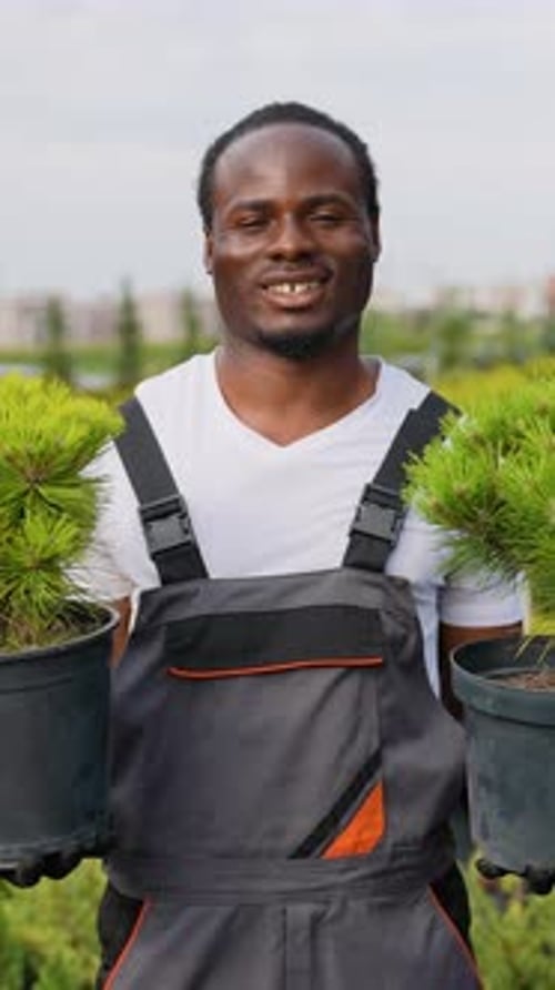 AfricanAmerican Gardener Holding Two Decorative Trees for Buyer