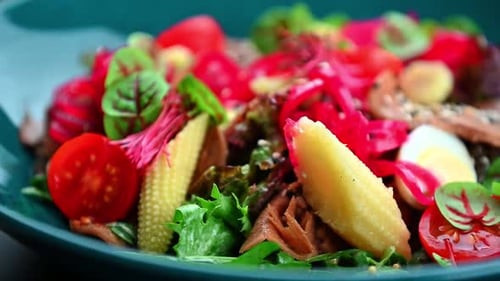 Colorful Plated Salad with Vegetables and Egg