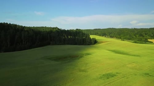 A Beautiful and Lush Green Aerial Landscape Showcasing Serene Fields That Line a Picturesque