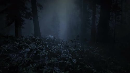 Scary Scene in the Forest, Mystical Trees, Dark Night, Horror in the Fog, Moonlight