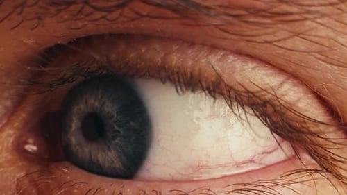 Extreme Close Up of Eye Moving