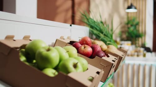 Freshly Harvested Fruits and Vegetables