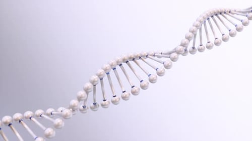 Animated DNA Double Helix Structure Loop