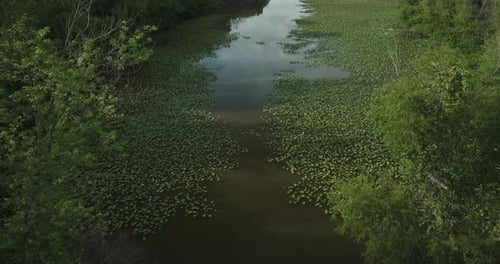 Hubler Lake Surrounded With Lush Vegetation In Missouri, USA - Drone Shot