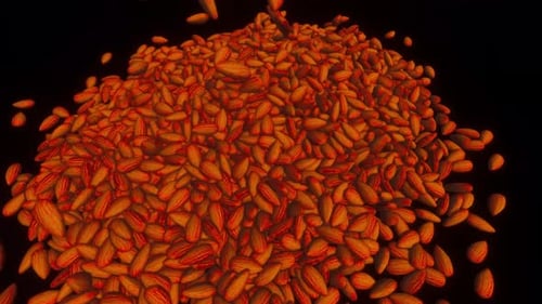 Animated 3D Dry Fruits : Almonds