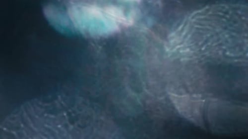 Abstract Light Leaks on Black Background