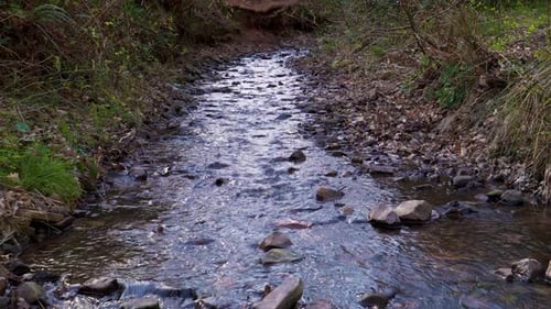 4K water flowing down in a small creek in the middle of the great woods in the quantock hills somers