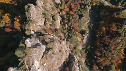 Vogelblick auf die felsigen Bergklippen im farbenfrohen Herbstwald