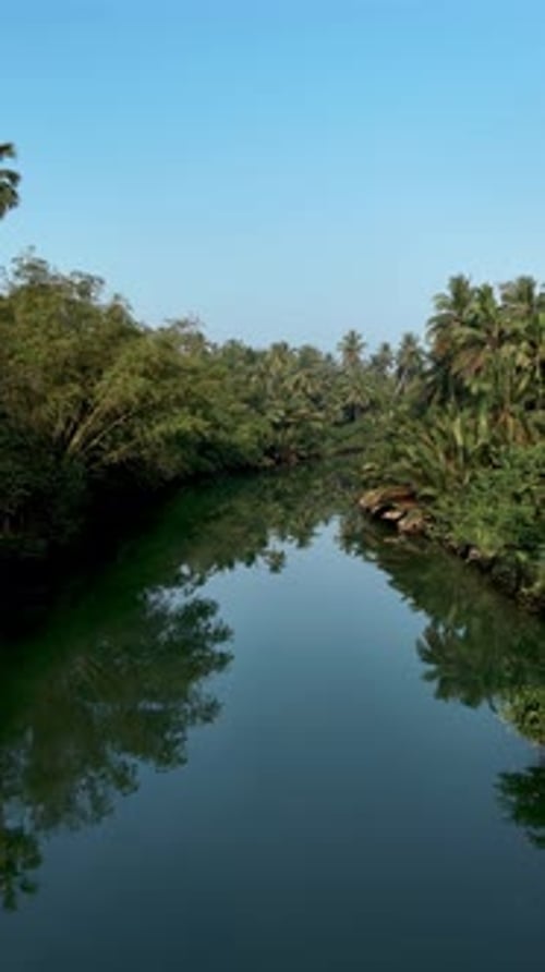 Exploring the Tranquil Beauty of a Tropical River in Thailands Lush Landscape