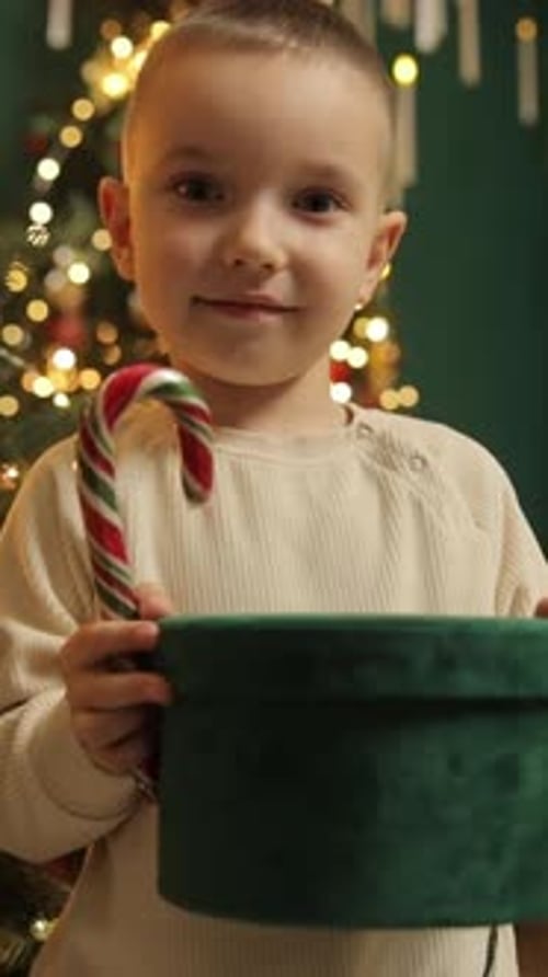 Boy with Candy Cane and Gift Box Near Decorated Christmas Tree Vertical Video