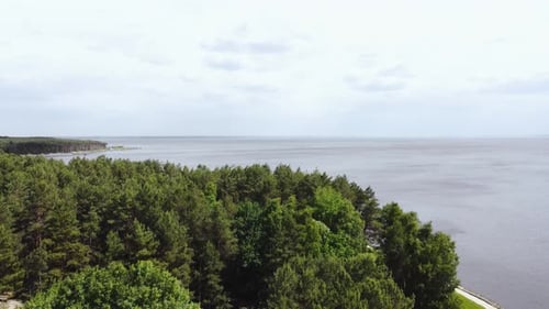 Aerial View of a Large Lake with a Green Pine Forest Aerial View of a Picturesque Lake Surrounded By