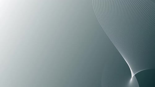 Abstract Fluid Line Art Motion Background Loop