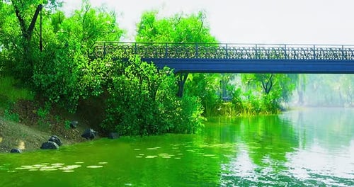 Lush Green Landscape with a Serene Park Bridge Reflecting in Calm Waters
