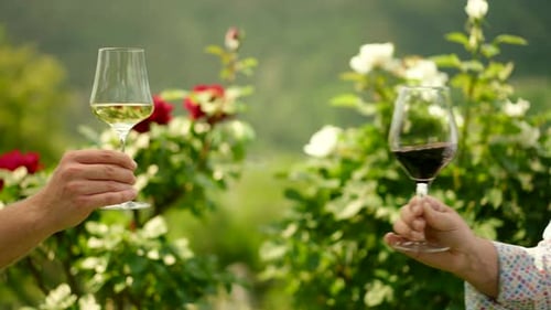 Verres à vin blanc et rouge qui clignotent