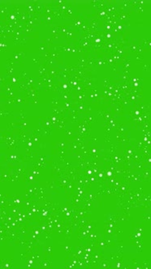 Snow Flakes Overlay Green Screen