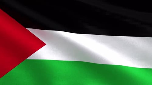 Palestinian Flag Waving Seamless Loop