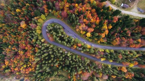 Epic Fall Drive Winding Mountain Road Through Vibrant Autumn Forest