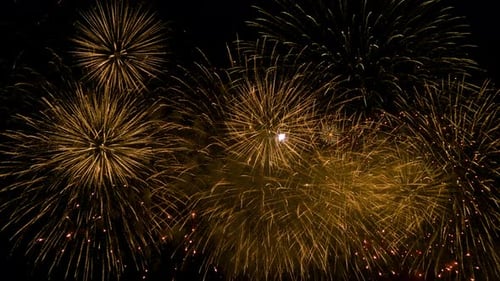 Fireworks Celebrate