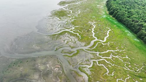 Aerial view of river marsh with green patterns, United Kingdom.